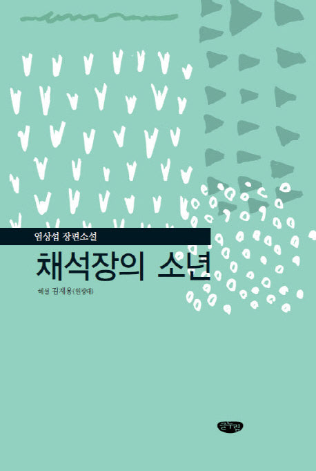 채석장의 소년(양장본 Hardcover)