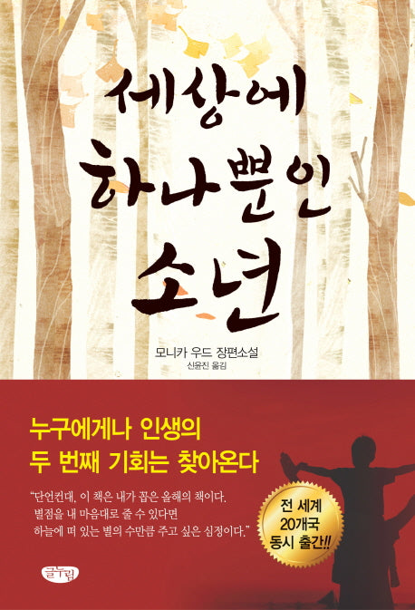 세상에 하나뿐인 소년