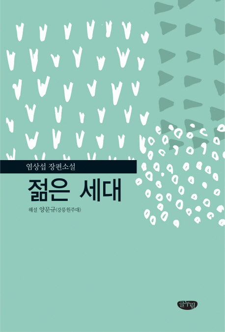 젊은 세대(양장본 HardCover)