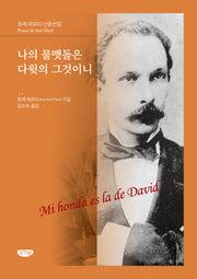 나의 물맷돌은 다윗의 그것이니(호세 마르티 산문선집)