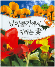 덩이줄기에서 자라는 꽃(꿈틀꿈틀 자연관찰 52)(양장본 HardCover)