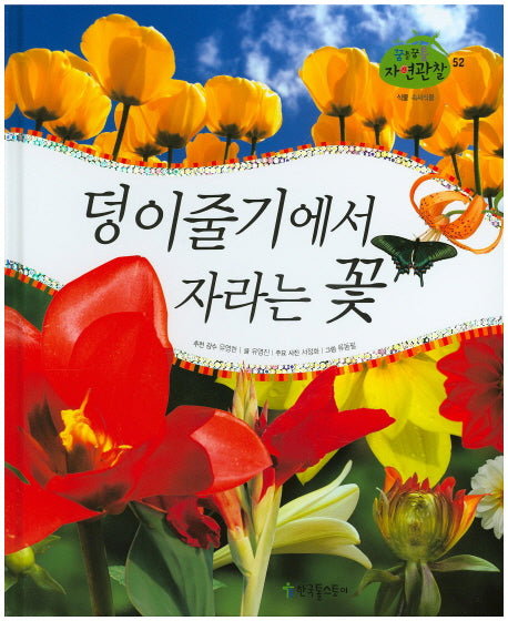 덩이줄기에서 자라는 꽃(꿈틀꿈틀 자연관찰 52)(양장본 HardCover)