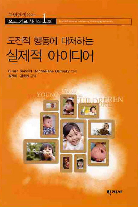 실제적 아이디어(도전적 행동에 대처하는)(특별한 영유아 모노그래프 시리즈 1)
