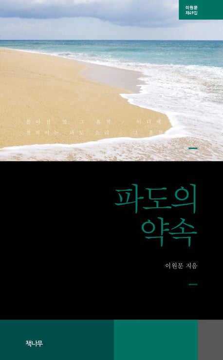 파도의 약속
