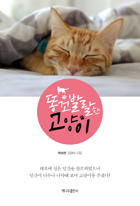 똥꼬발랄한 고양이