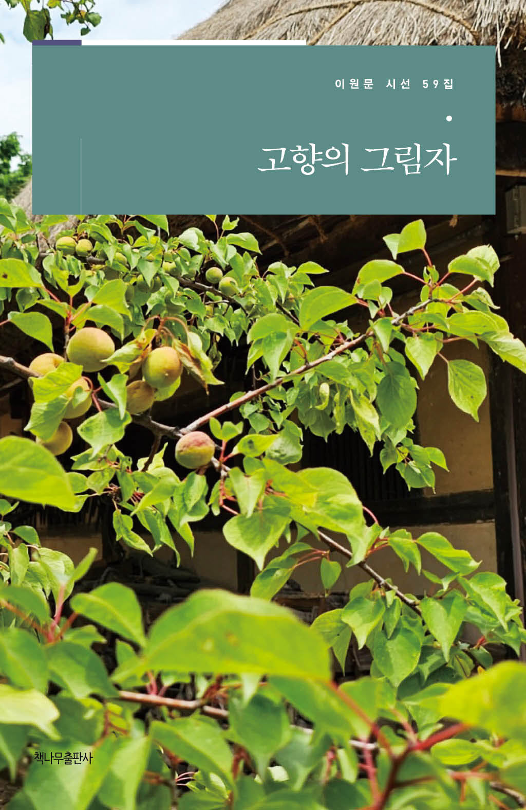 고향의 그림자(이원문 시선 59)