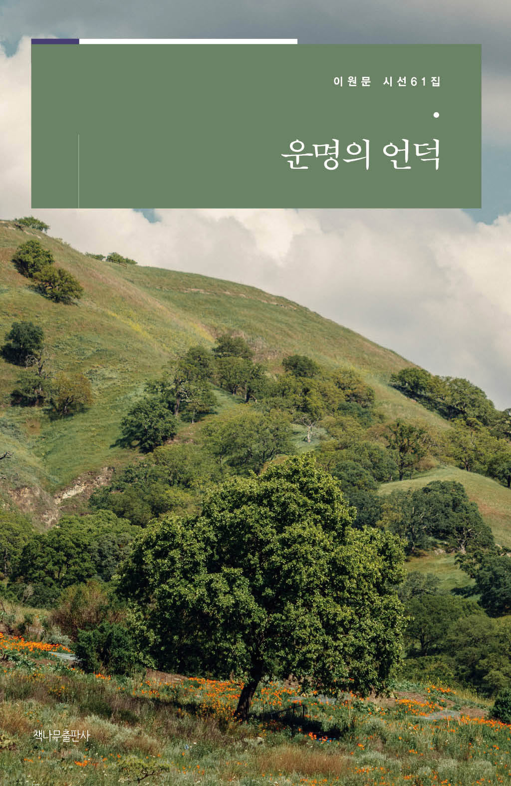 운명의 언덕(이원문 시선 61)