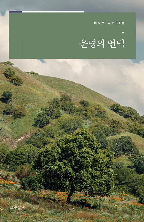 운명의 언덕(이원문 시선 61)