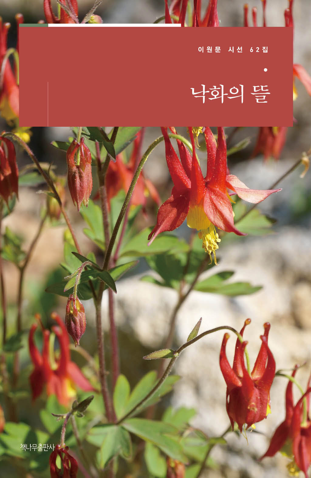 낙화의 뜰(이원문 시선 62)