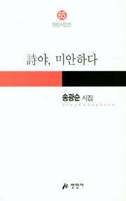 시야, 미안하다(만인시인선 65)