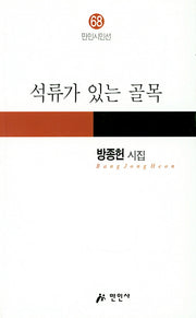 석류가 있는 골목(만인시인선 68)