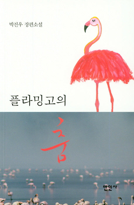 플라밍고의 춤