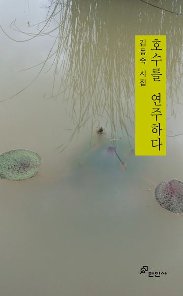 호수를 연주하다
