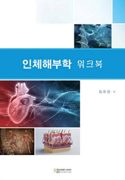 인체해부학 워크북