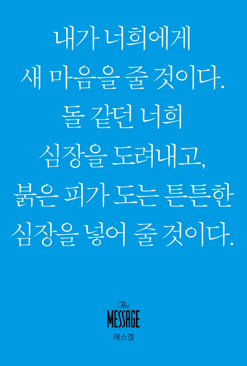 메시지 에스겔(미니북)