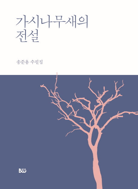 가시나무새의 전설
