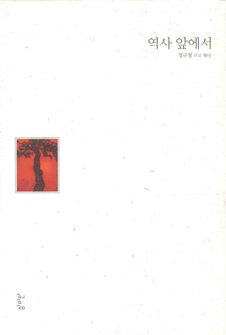역사 앞에서(양장본 Hardcover)