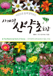 사계절 산약초 도감(사진으로 쉽게 알아보는)