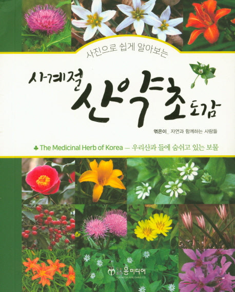 사계절 산약초 도감(사진으로 쉽게 알아보는)(스프링)