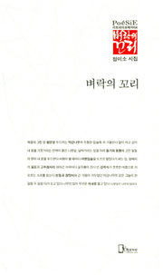 벼락의 꼬리(리토피아포에지 54)