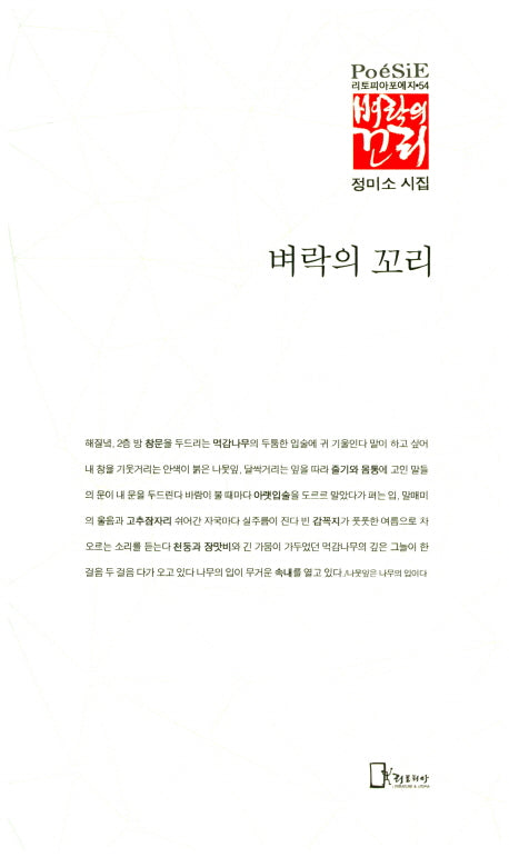 벼락의 꼬리(리토피아포에지 54)