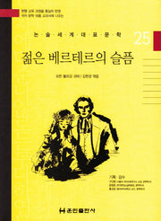 젊은 베르테르의 슬픔(논술세계대표문학 25)