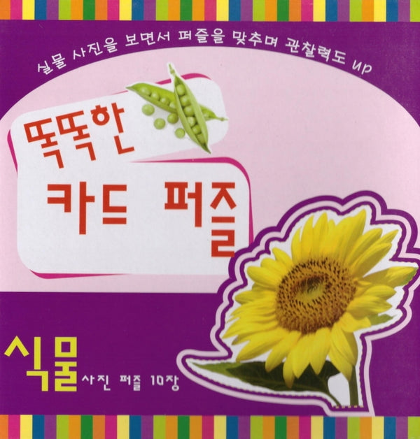 똑똑한 카드 퍼즐(식물)(퍼즐)