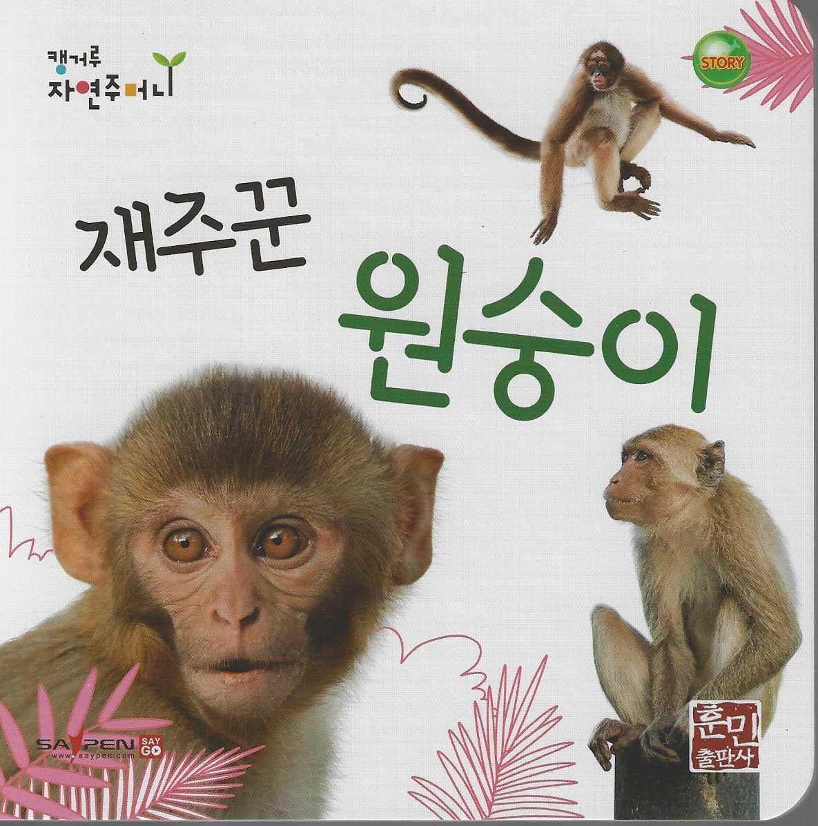 재주꾼 원숭이(캥거루 자연주머니)