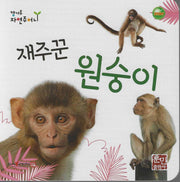 재주꾼 원숭이(캥거루 자연주머니)