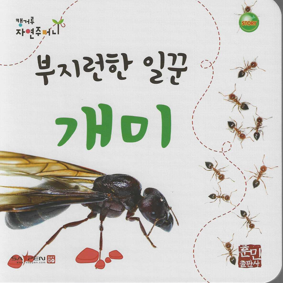 부지런한 일꾼 개미(캥거루 자연주머니)