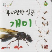 부지런한 일꾼 개미(캥거루 자연주머니)