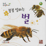 붕붕 일하는 벌(캥거루 자연주머니)