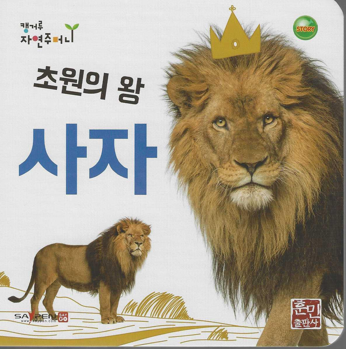 초원의 왕 사자(캥거루 자연주머니)