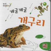 개굴개굴 개구리(캥거루 자연주머니)