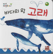 바다의 왕 고래(캥거루 자연주머니)