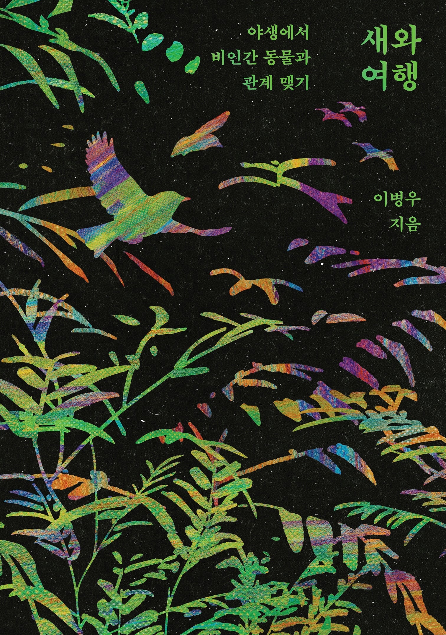 새와 여행
