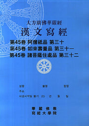 대방광불화엄경 한문사경 45: 아승지품. 30외(8절)