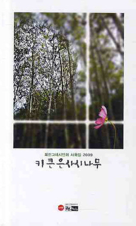 키 큰 은사시나무