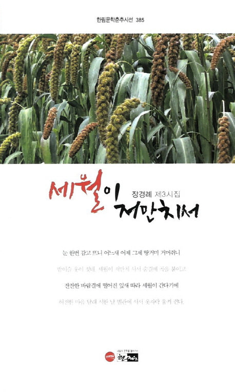 세월이 저만치서(한림문학춘추시선 385)