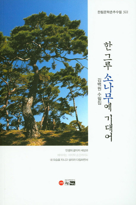 한그루 소나무에 기대어(한림문학춘추수필 322)
