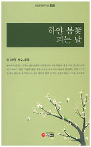 하얀 봄꽃 피는 날(한림문학춘추시선 431)