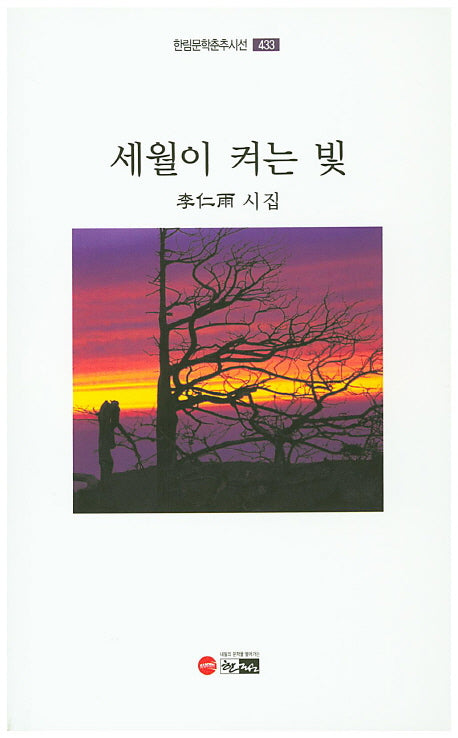 세월이 켜는 빛(한림문학춘추시선 433)