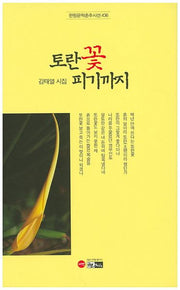 토란꽃 피기까지(한림문학춘추시선 436)