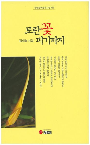 토란꽃 피기까지(한림문학춘추시선 436)