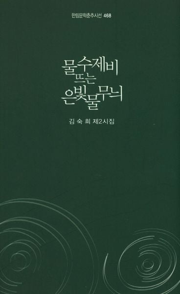 물수제비 뜨는 은빛 물무늬(한림문학춘추시선 468)