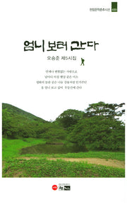 엄니 보러 간다(한림문학춘추시선 489)