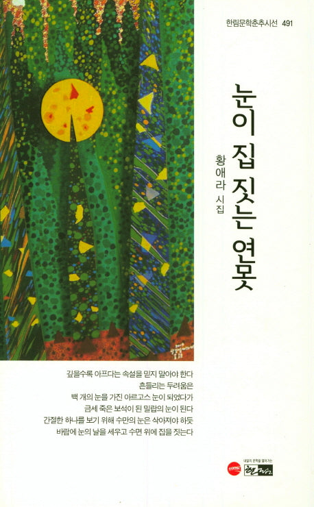 눈이 집짓는 연못(한림문학춘추시선 491)