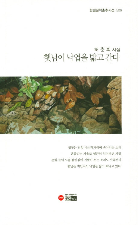 햇님이 낙엽을 밟고 간다(한림문학춘추시선 506)
