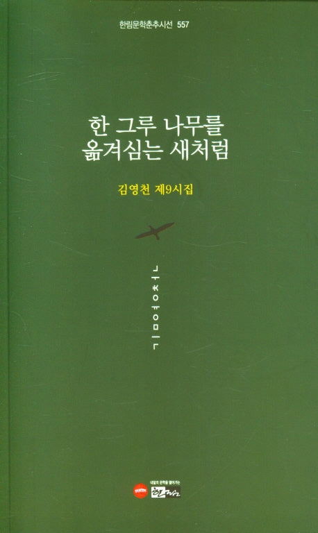 한 그루 나무를 옮겨심는 새처럼(한림문학춘추시선 557)