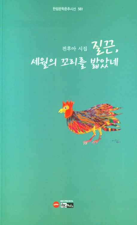질끈, 세월의 꼬리를 밟았네(한림문학춘추시선 561)